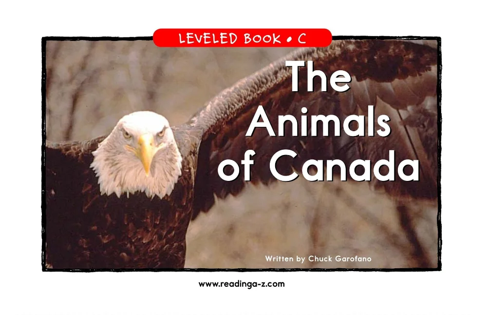 The Animals of Canada